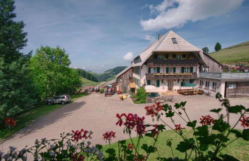 Mittlerer Itzenwaldhof - Heimkehr - Foto 23