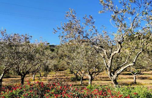 VILLA ALESSI - dimora storica - Foto 34