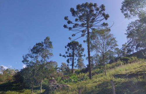 Chácara das Araucárias - Foto 53