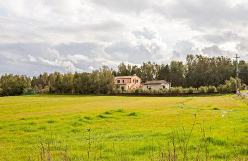 Homes in the Lagoons of Santa Giusta - Foto 67