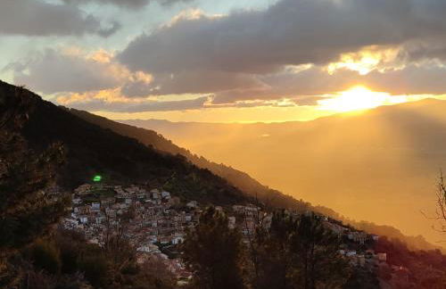 El portal de Beni - Foto 23