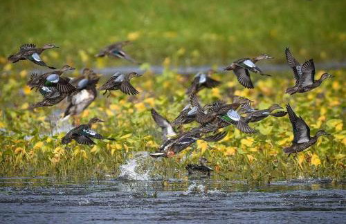 Gorgeous Tiny House with Indoor and Outdoor Lounging Space in Alabama - Foto 65