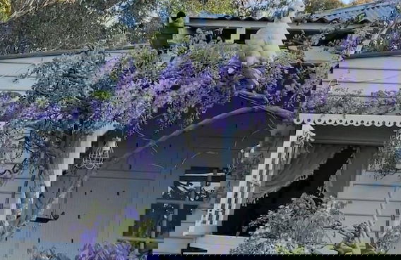 The Old Bakery in Historic Kangaroo Valley Village - Foto 47