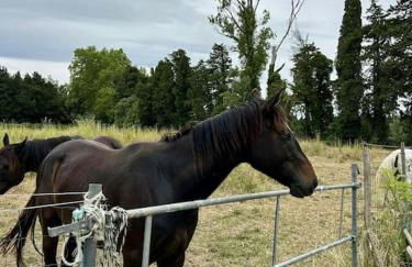 Villa paradis Maison piscine chauffé - Photo 41