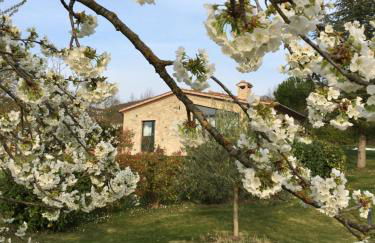 Agricola Caicucci - Foto 17