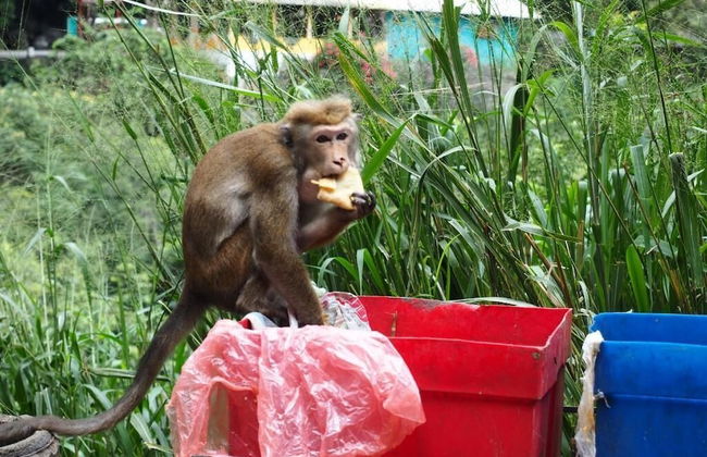 Prasad Suomi Villa - Foto 42