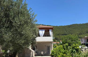 Apartmani Maslina Žuljana - Foto 1