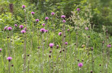 Haus Bergblick - Foto 60