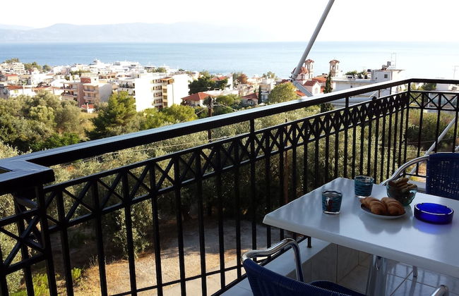 Anemos studios - Foto 11