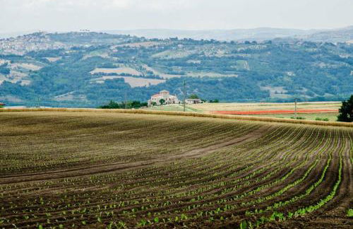 Country Relais La Torretta Baronale - Foto 6
