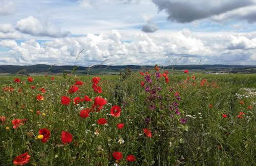 Ferienwohnung am turm - Foto 14