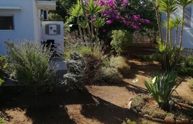 Cma-croatia Mediterranean Authenticity - Foto 17