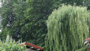 Maison esperantza - Foto 3