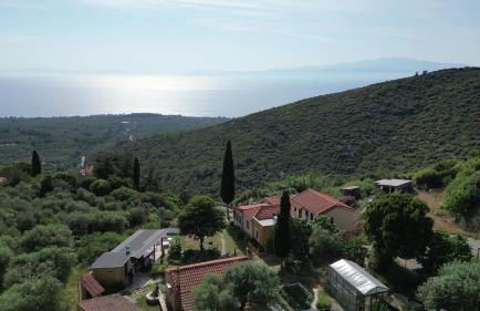 Varias Art House - Foto 50