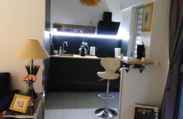 NICE- GAIRAUT - JARDIN PRIVE- GRAND F1 LUMINEUX-Piscine Collective - Foto 10