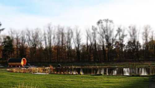 Naturferienhof Märkisch Luch - Trapphenne - Foto 5, Garden, Garden view