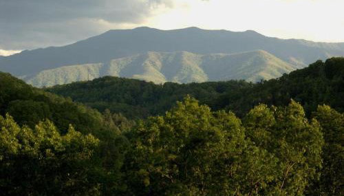 Enchanted Primrose Chalet #3709 Chalet - Foto 3