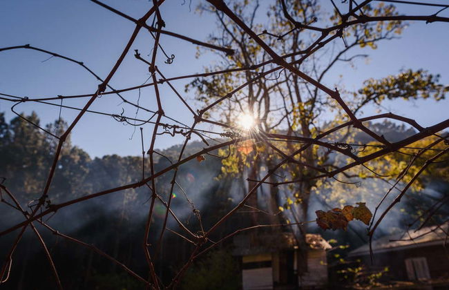 Tour en jardineira por Linha Ávila - Foto 4