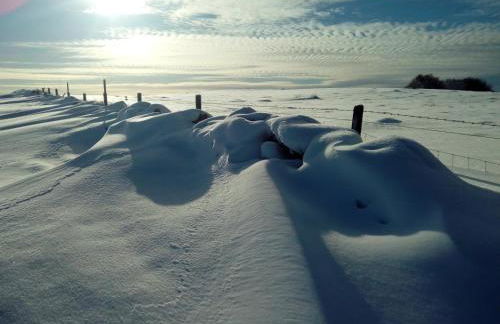 Buckieburn - self-catering - rural - Foto 25