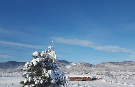 Apartment Lipa - Foto 16