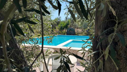 Piccolo Podere - Foto 4