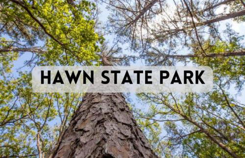 TELLURIDE - Tiny Houses Of French Village - Foto 139