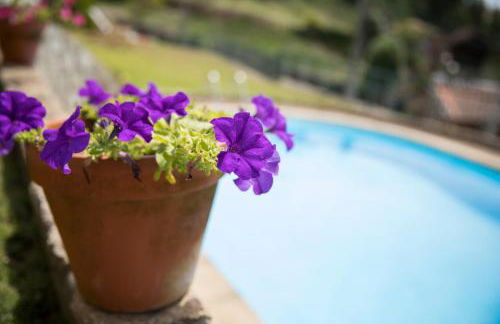 ESPIGUEIRO DA CASADA VILLA RURAL - FOZ DO DOURO by LW - Foto 35