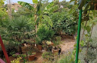 Levak Apartments - Apt.3 - Photo 25