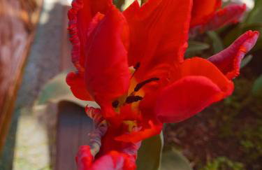 Apartamenty LeVilla - Foto 37