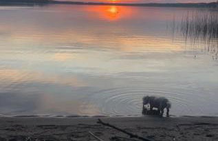 Eichberg Ferienhäuser - Foto 11