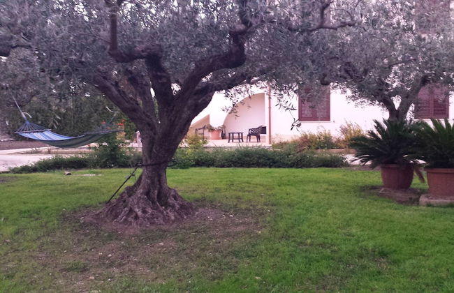 Agrisicilia - Foto 23