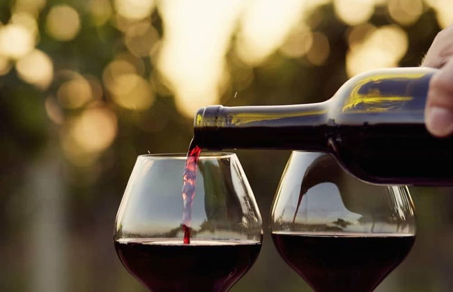 12 Son's Geronimo - Birdhouse Cabin - Foto 29