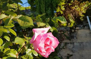 Le Clos Des Etoiles - Foto 36