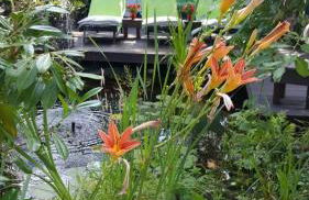 Ferienwohnung Stuermer - Photo 21