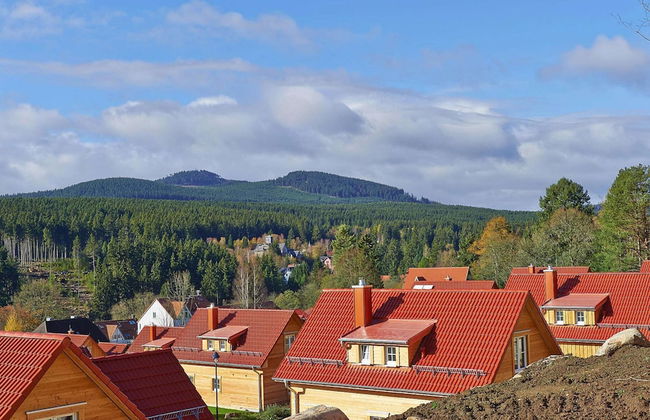 Ferienhaus in Schierke mit Garten - Foto 28