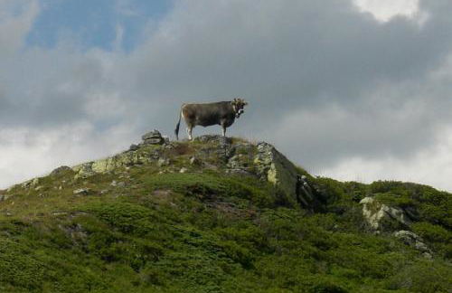 Appartamenti Kratter Sara - Foto 28