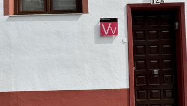 Phoenix Canariensis - Foto 4