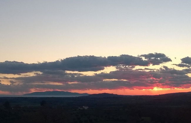 Artemisia negli ulivi B&B - Photo 30