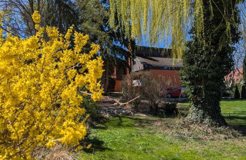 Auszeitoase Freystadt - Park, Billard, Sauna - ideal für Familientreffen und Messe Nürnberg - Foto 61
