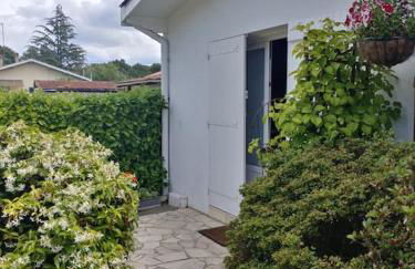 Appartement T2 Le Teich - Photo 3