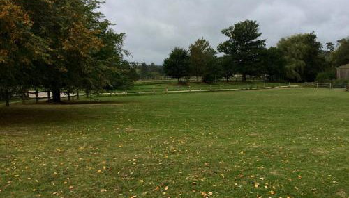 Starvegoose Cottage - Foto 4, Garden view