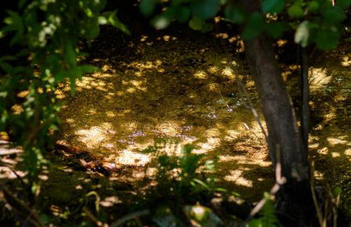 Casa Ponte da Vessada - Foto 44