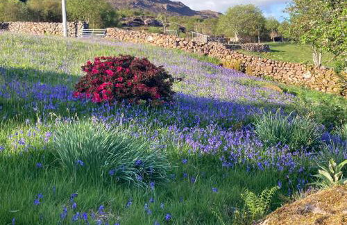 Rechullin, Torridon - Photo 31
