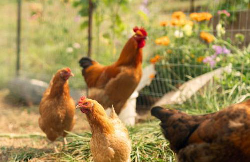 Pacific View Cottage - 100 High with Ocean Views - Foto 26