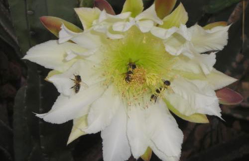 Casa Bellavista - Foto 16