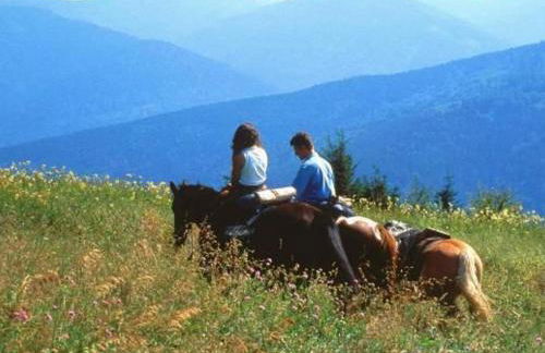 Chalet Campanules 37 - Nature, Randonnée & Famille - FR-1-583-471 - Foto 21