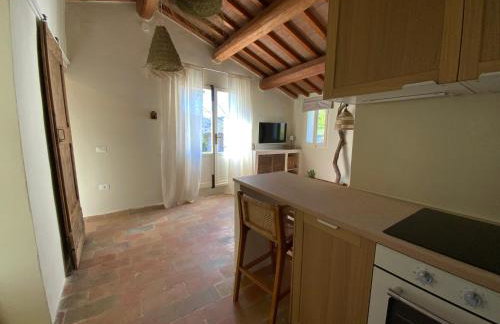 Monte Pino - Photo 10