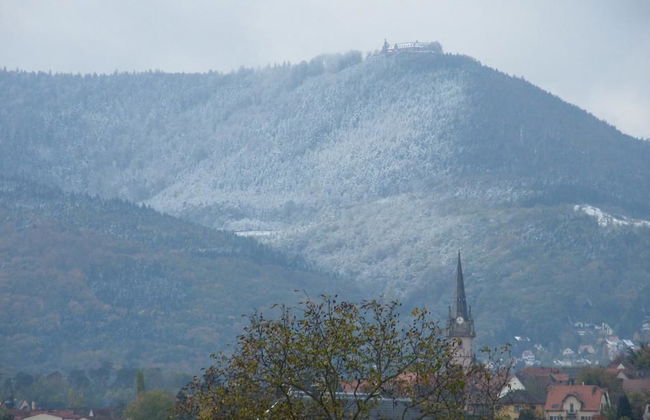 Studio 1 - Location de Vacances Obernai - Foto 26