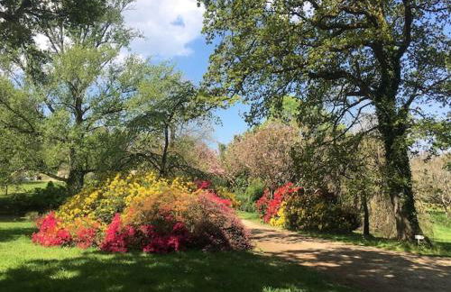 Belle maison rénovée, 650m de la plage, grand jardin, classée meublé de tourisme 3 étoiles - Photo 63