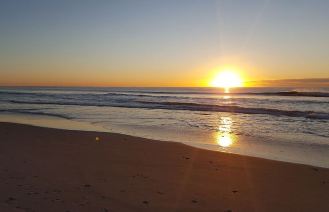 Chidori Court - Foto 44